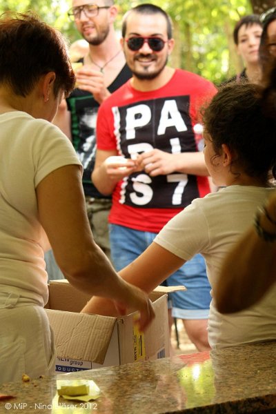 2012-07-01 B & B - Bedlington & Bichon Fun Day (270)_1000x1500.jpg